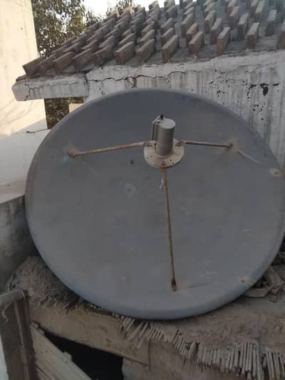 Dish with It's Signal Device.