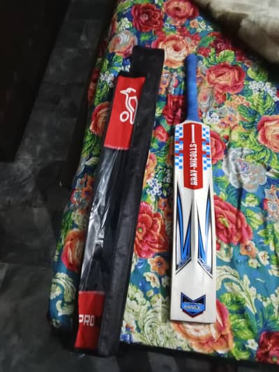 New A+ grade Kashmir willow bat 10 + grains