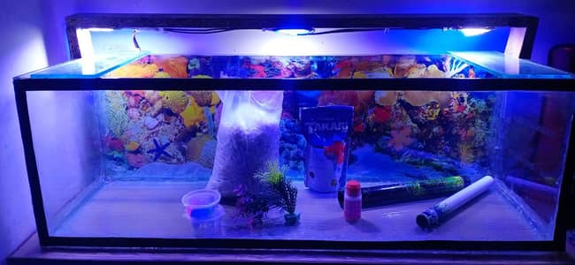 Almost new fish aquarium