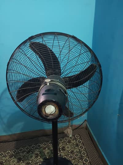 Pedistal Fan