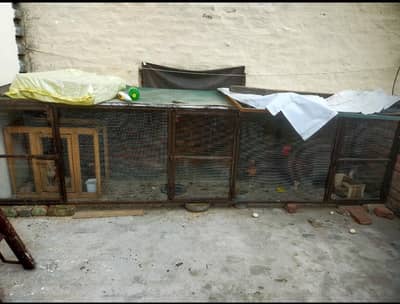 Pets Cage for Sale.