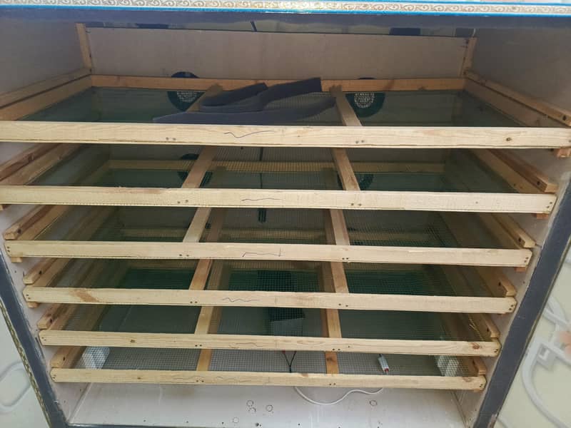 incubator and brooder fully automatic 7