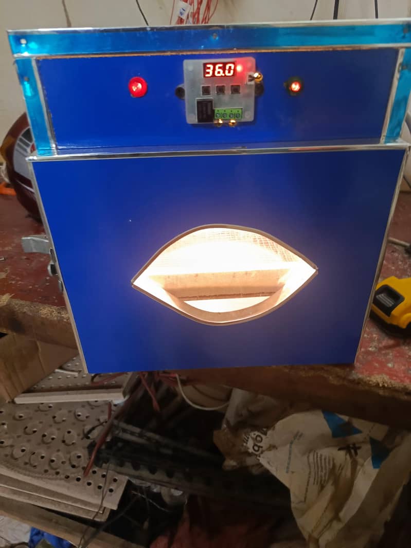 incubator and brooder fully automatic 8