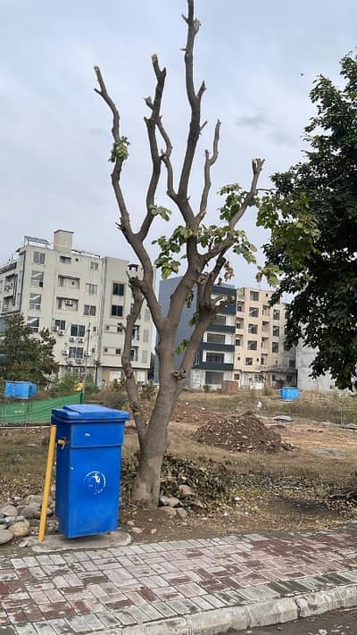 5 Marla Plot In Mini Extension 2 Bahria Town Phase 7