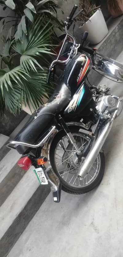 03056528131 03479041517