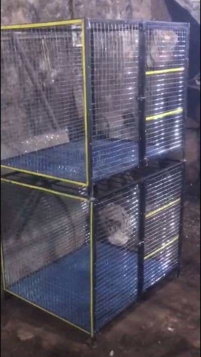 Animal cage for sale one piece rate