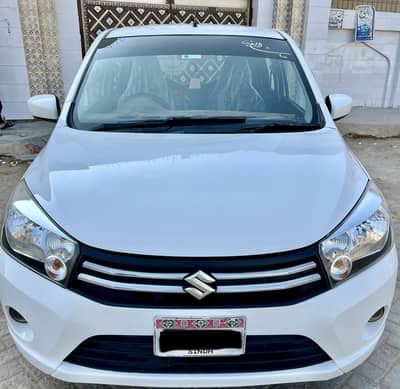Suzuki Caltus vxl2019