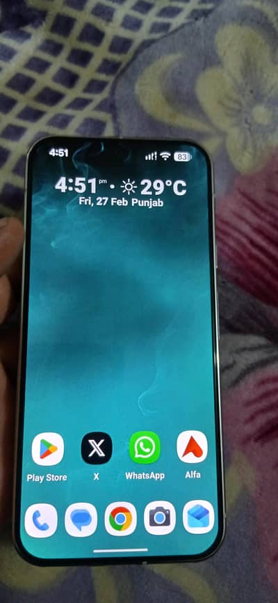 Google Pixel 9 Pro XL