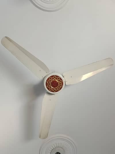 Celling Fan