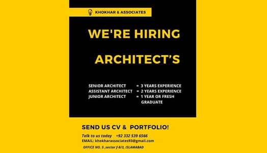 senior architect