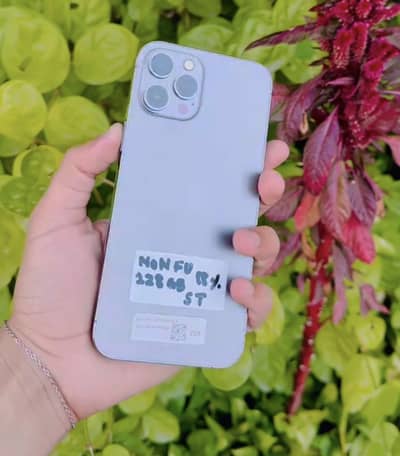 Apple iPhone 12 Pro Max