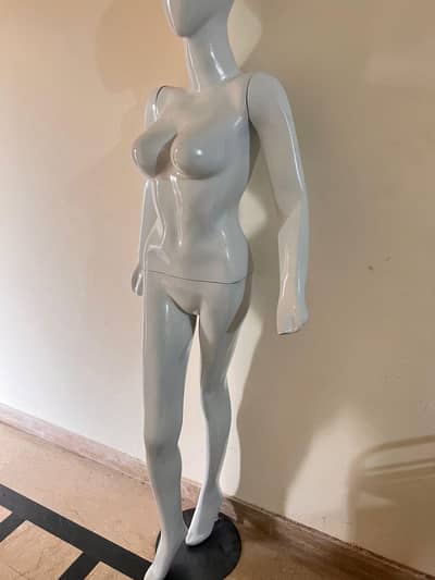 Female Display Mannequin – Brand New Condition