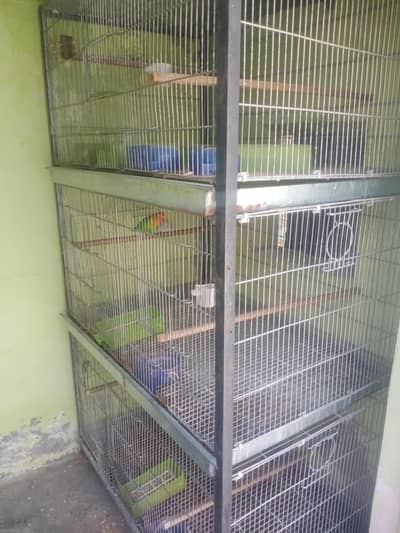 birds cage
