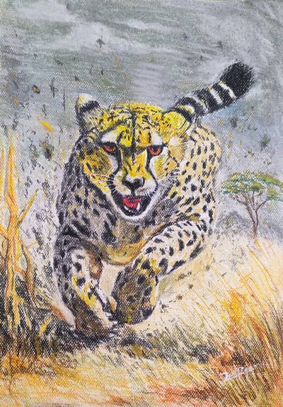 Furious Cheetah and Charged African Elephant