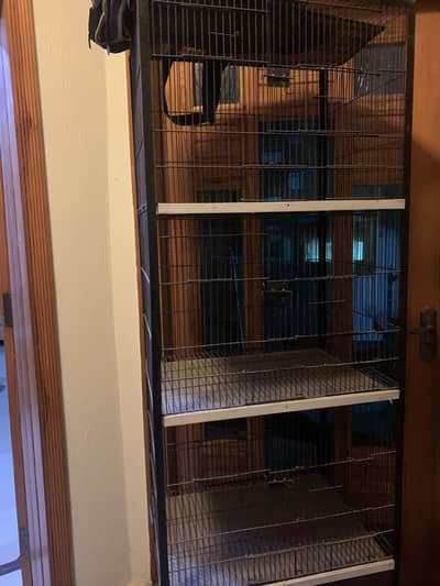 Birds Cage | Strong Cage | Urgent sale