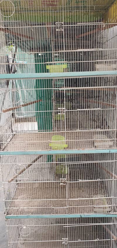 love Birds Tower cages 4 portion