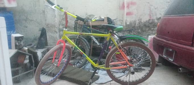 Phoenix wheelie cycle