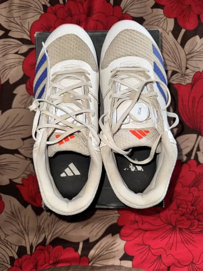 Adidas Cricket Spikes Shoes