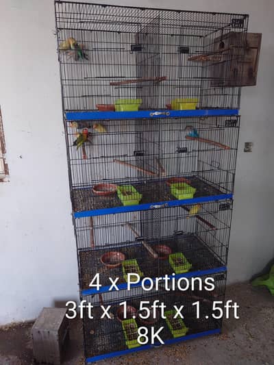 Complete Setup for Sale | Breeder Pairs | Cages