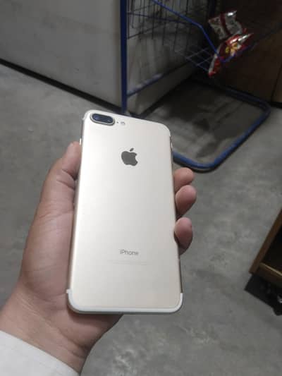 7 plus