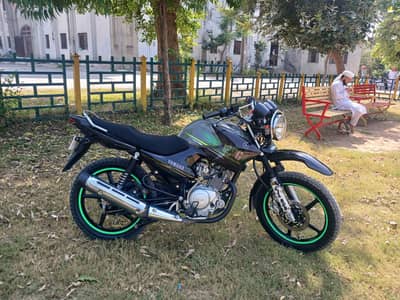 yamaha ybr g special edition for sale
