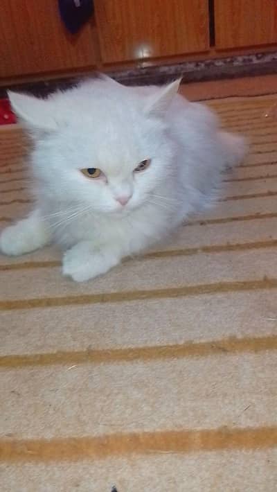 out of country Jana hy is ley sell kr rhy hain