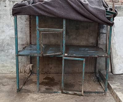 cage for hens and parrot