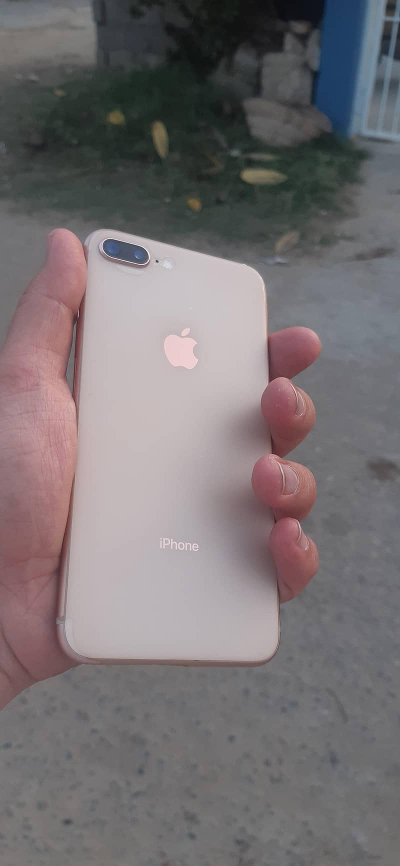iphone 8 plus 6