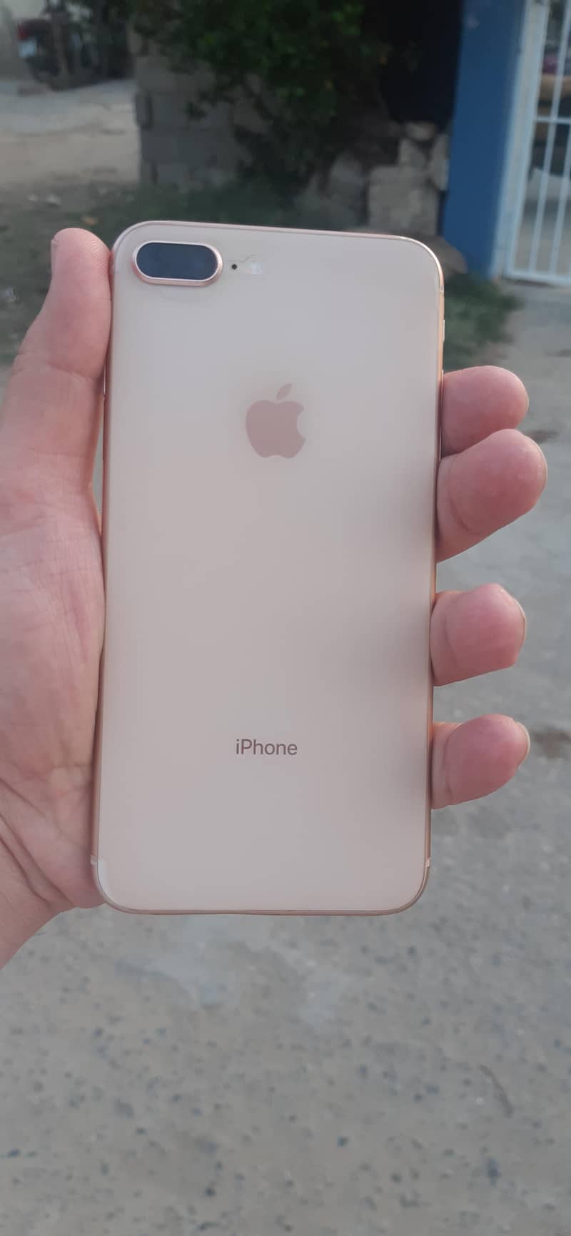 iphone 8 plus 7