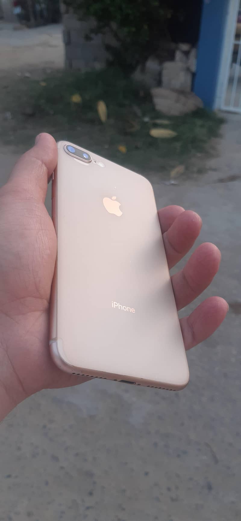 iphone 8 plus 8