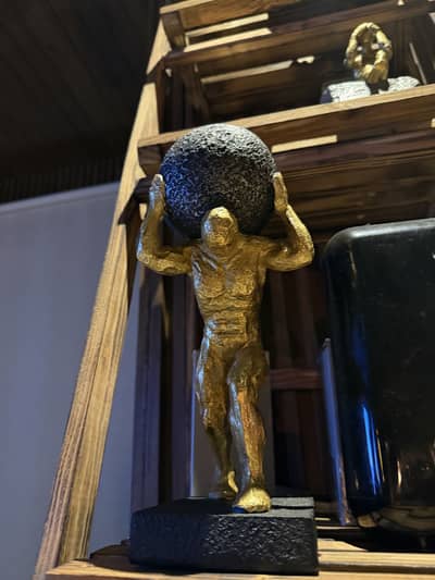 Need a roommate for my luxury room