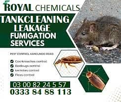 Pest control Termite Expert | Fumigation Services | Termite expert