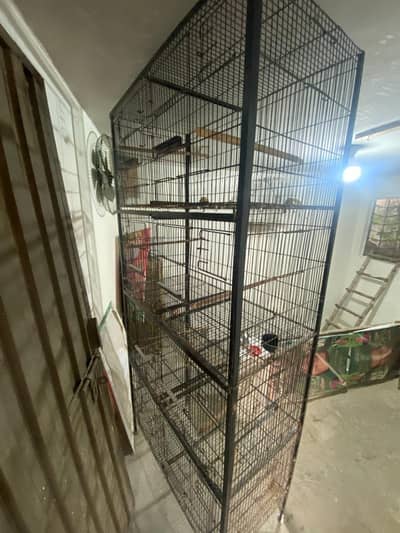 birds cage 6 feet