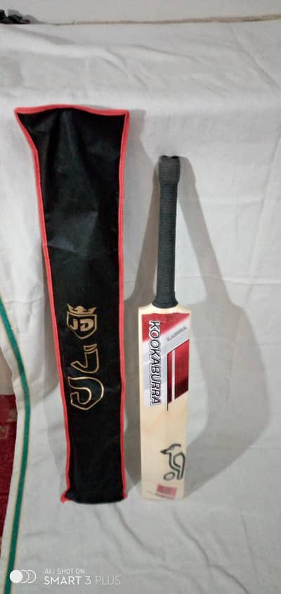 hard ball bat with cover