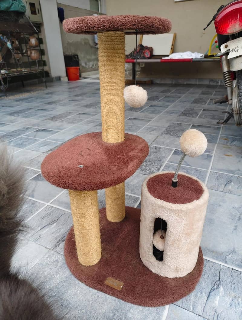 Cat Tree 0