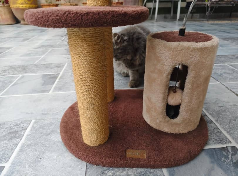 Cat Tree 1