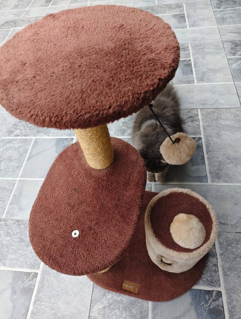 Cat Tree 2