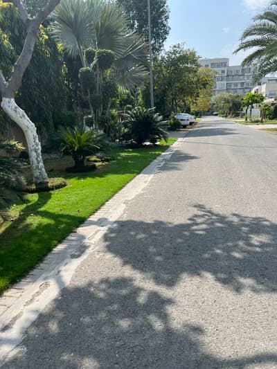 Corner W Block Road Level Ideal Location Excellent Price Between Modern Houses 2 Kanal Community