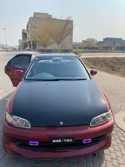 civic 1995 dolphin