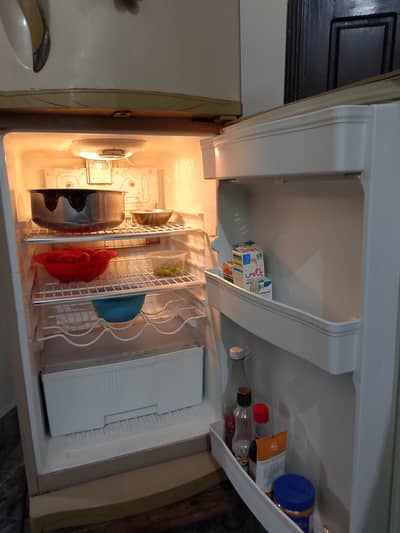 Waves company fridge