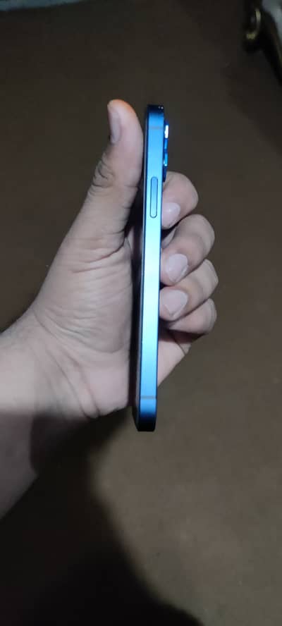 iPhone 12 dual pta approved