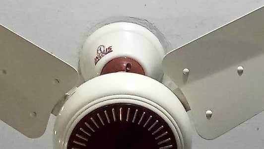 Indus ceiling fan