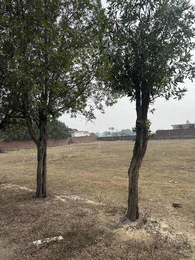 5 KANAL FARM HOUSE LAND PLOT FOR SALE