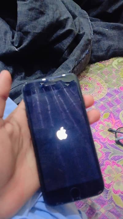 iPhone 7 non pta ha