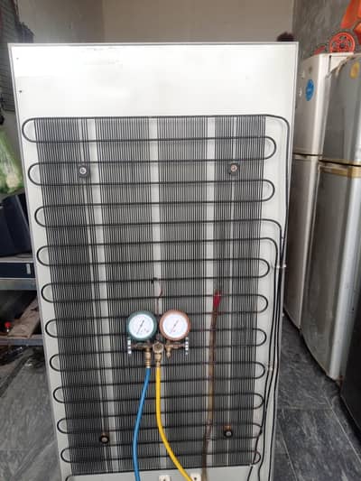 mirza colong canter 388jb