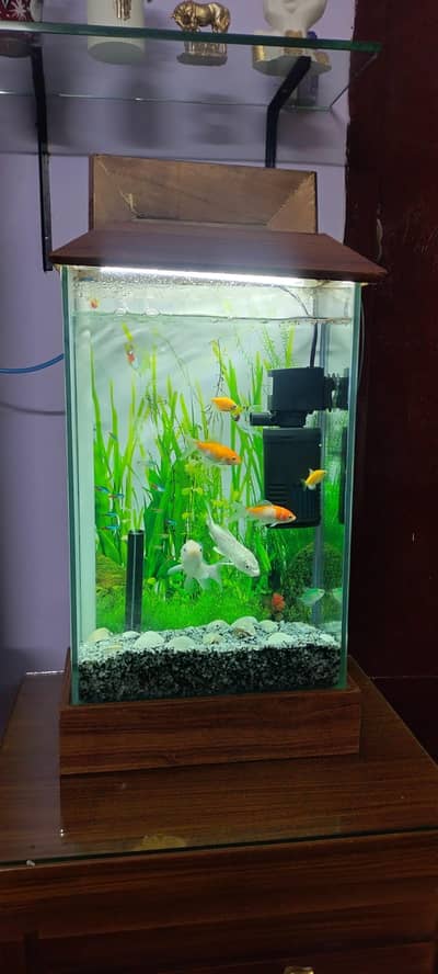 Fish aqurium just like new