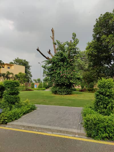 PRIME 23 MARLA RESIDENTIAL PLOT FOR SALE IN DREAM GARDENS LAHORE.