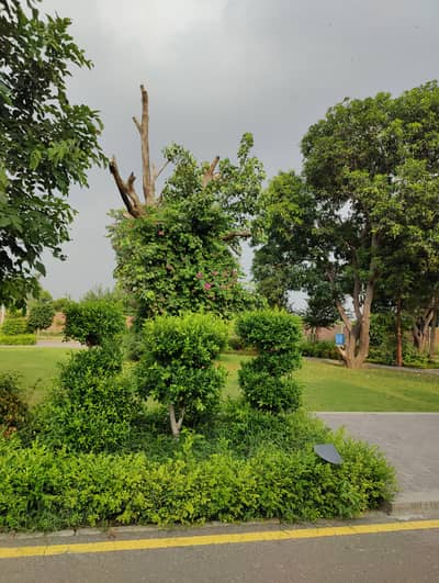 CORNER COMMERCIAL PLOT FOR SALE IN THE PRIME LOCATION OF DREAM GARDENS LAHORE.