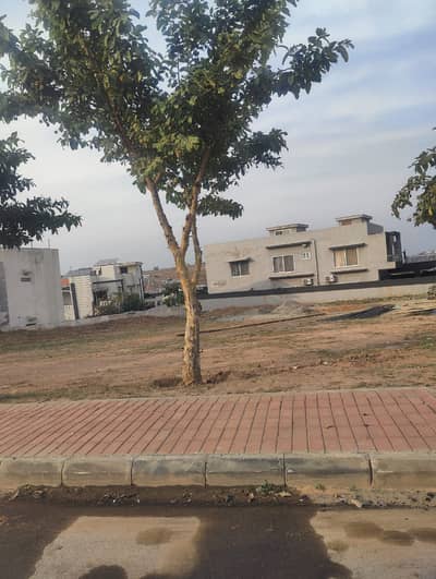Corner Plot For Sale In DHA Phase 2