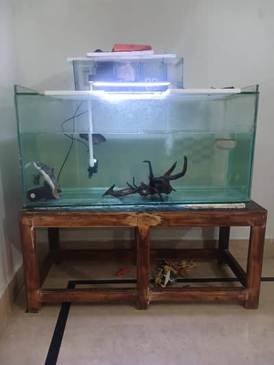 monster fishes and 4 ft aquarium 12mm